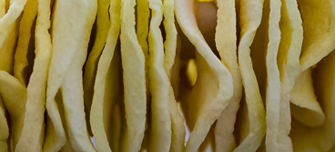 dried granny smith apple